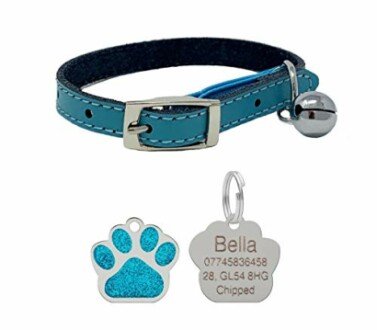 Leather Cat Collar