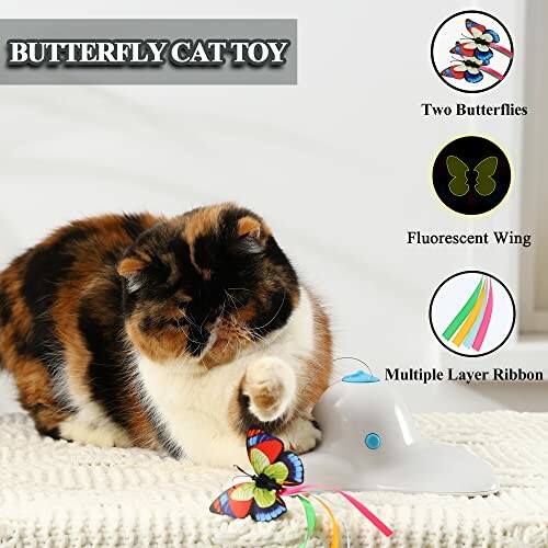 Cat playing with a butterfly cat toy on a white surface.