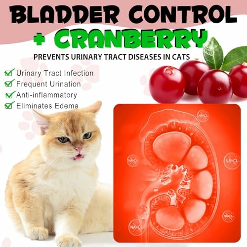 Cat with bladder control supplement featuring cranberry benefits.