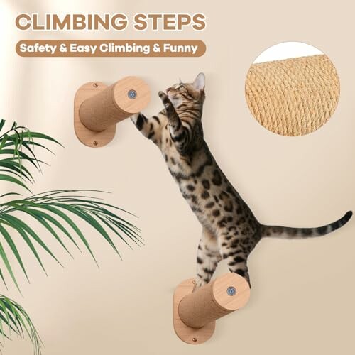 Cat climbing on wall-mounted steps with rope texture