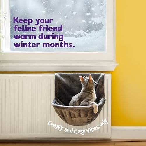 Cat in a cozy bed by a window with snow outside.