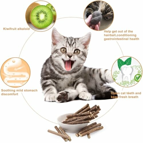 Cat with health benefits of kiwifruit, hairball relief, stomach soothing, and teeth cleaning.