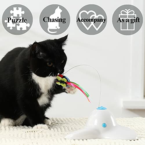 Black and white cat playing with an interactive toy featuring colorful strings.