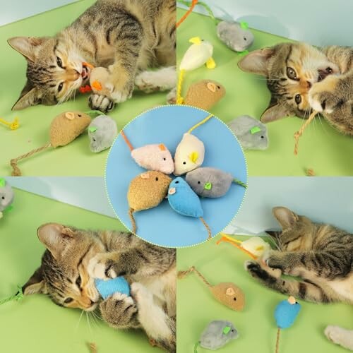 Cat playing with colorful toy mice on a green and blue background.