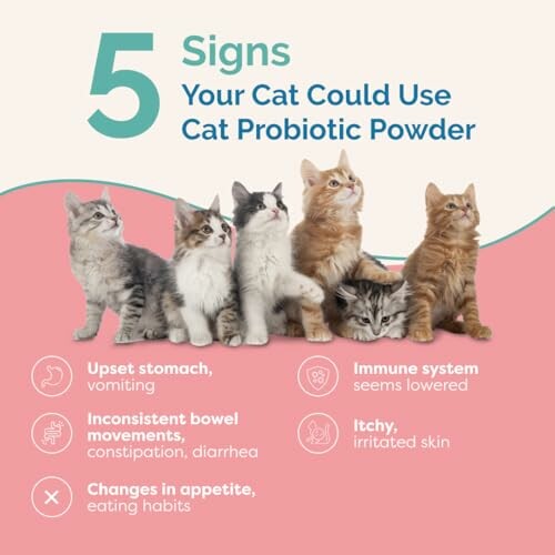 Five signs your cat could use cat probiotic powder with images of kittens.