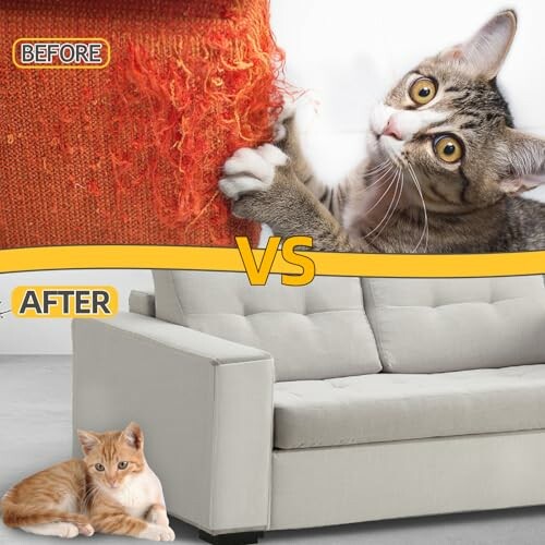 Comparison of a cat scratching a sofa before and after using a furniture protector.