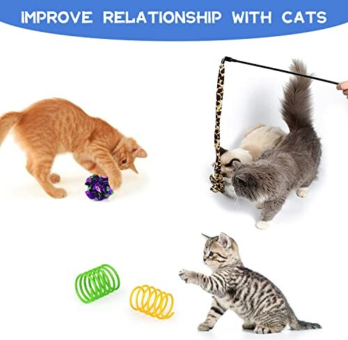 Cats playing with toys and a person using a wand toy.