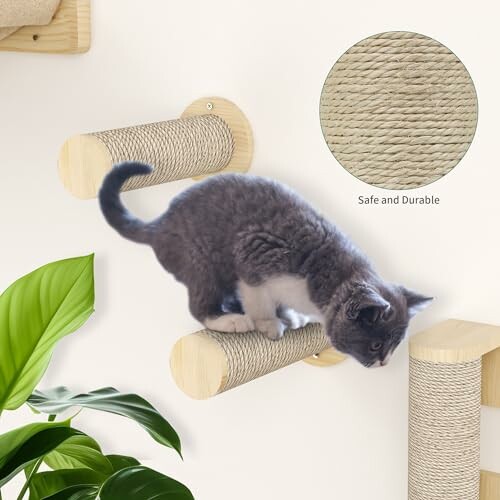 Cat climbing on wall-mounted scratching post with plant nearby