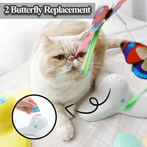 Cat playing with butterfly toy