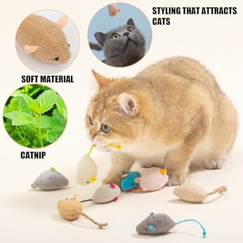 Cat playing with colorful toy mice, featuring soft material and catnip.