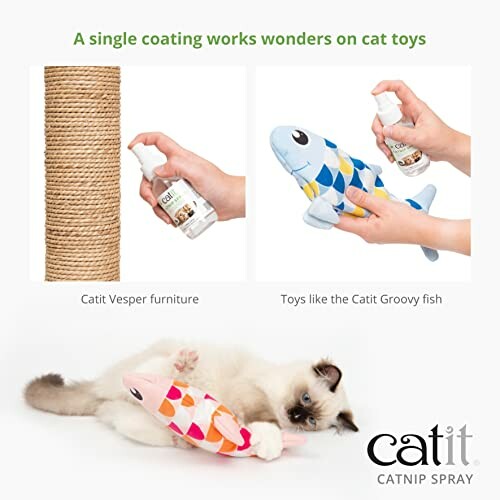 Catit catnip spray used on cat toys and furniture.