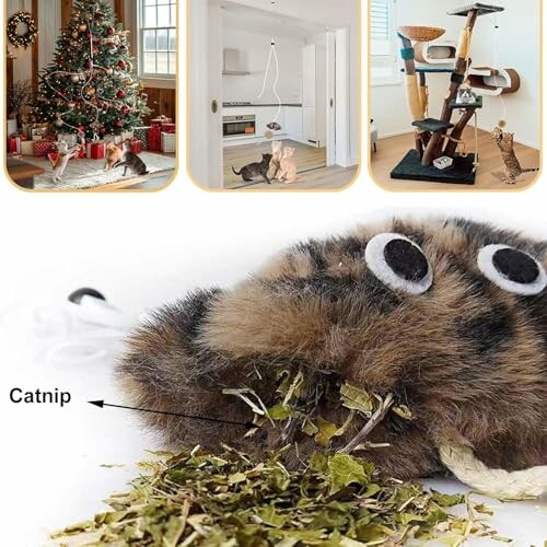 Cats playing near a Christmas tree, in a modern kitchen, with a cat tree, and a close-up of a catnip toy.