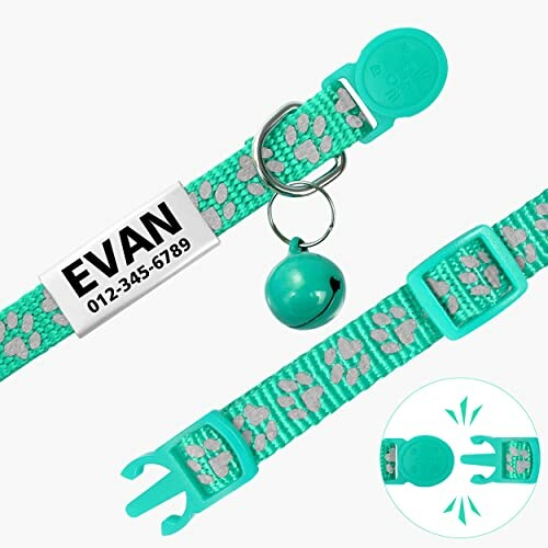 Green cat collar with paw prints, bell, and name tag.