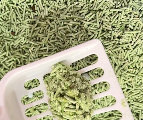 Green clumping cat litter with scoop.