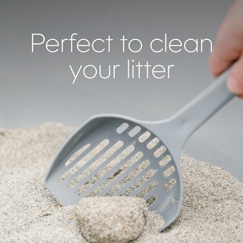 Gray scoop cleaning cat litter