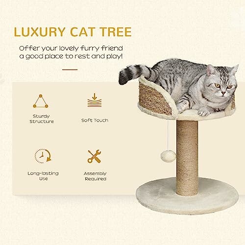 Gray cat lounging on a luxury cat tree with features listed.