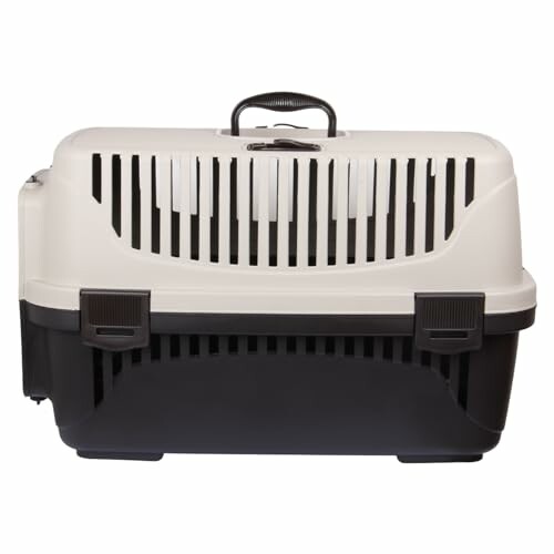 Plastic pet carrier with handle