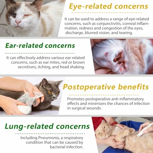 Images showing pet health benefits related to eyes, ears, postoperative care, and lungs.