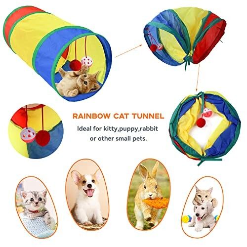 Rainbow cat tunnel with small pets like kitten, puppy, and rabbit.