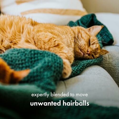 Sleeping orange cat on a couch with a green blanket, promoting hairball solution.